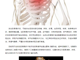 有一种“会呼吸的痛”叫肋骨骨折