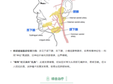 锦旗背后的故事：揭秘颈部腺样囊性癌，一种＂老顽固＂却可控的癌